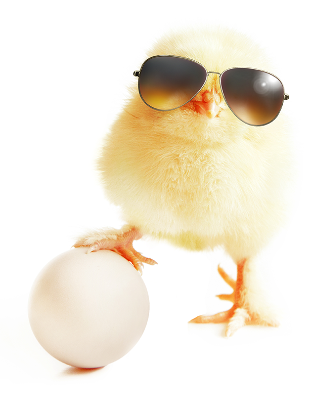 Osterartikel